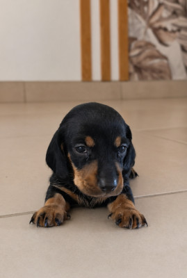 Billy